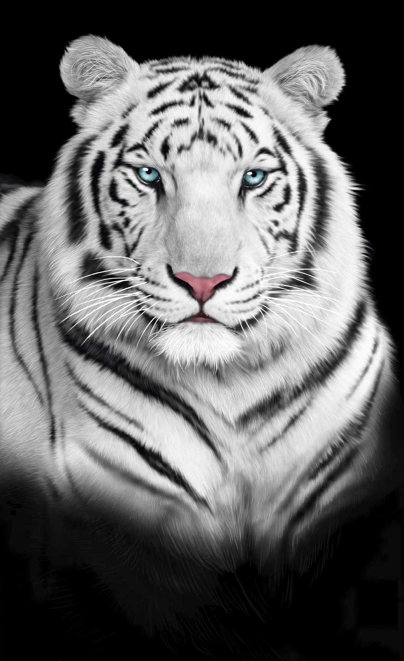 WHITE BENGAL TIGER TOWEL